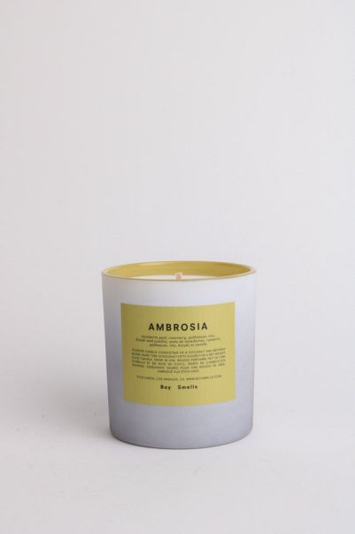 Candles Intentionally Blank Women Ambrosia Candle