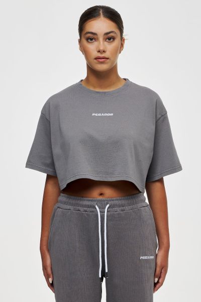 Layla Oversized Cropped Tee Washed Dove Grey Pegador Tees Washed Dove Grey Women